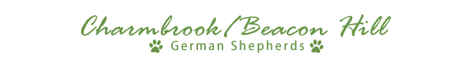 Charmbrook / Beacon Hill German Shepherds